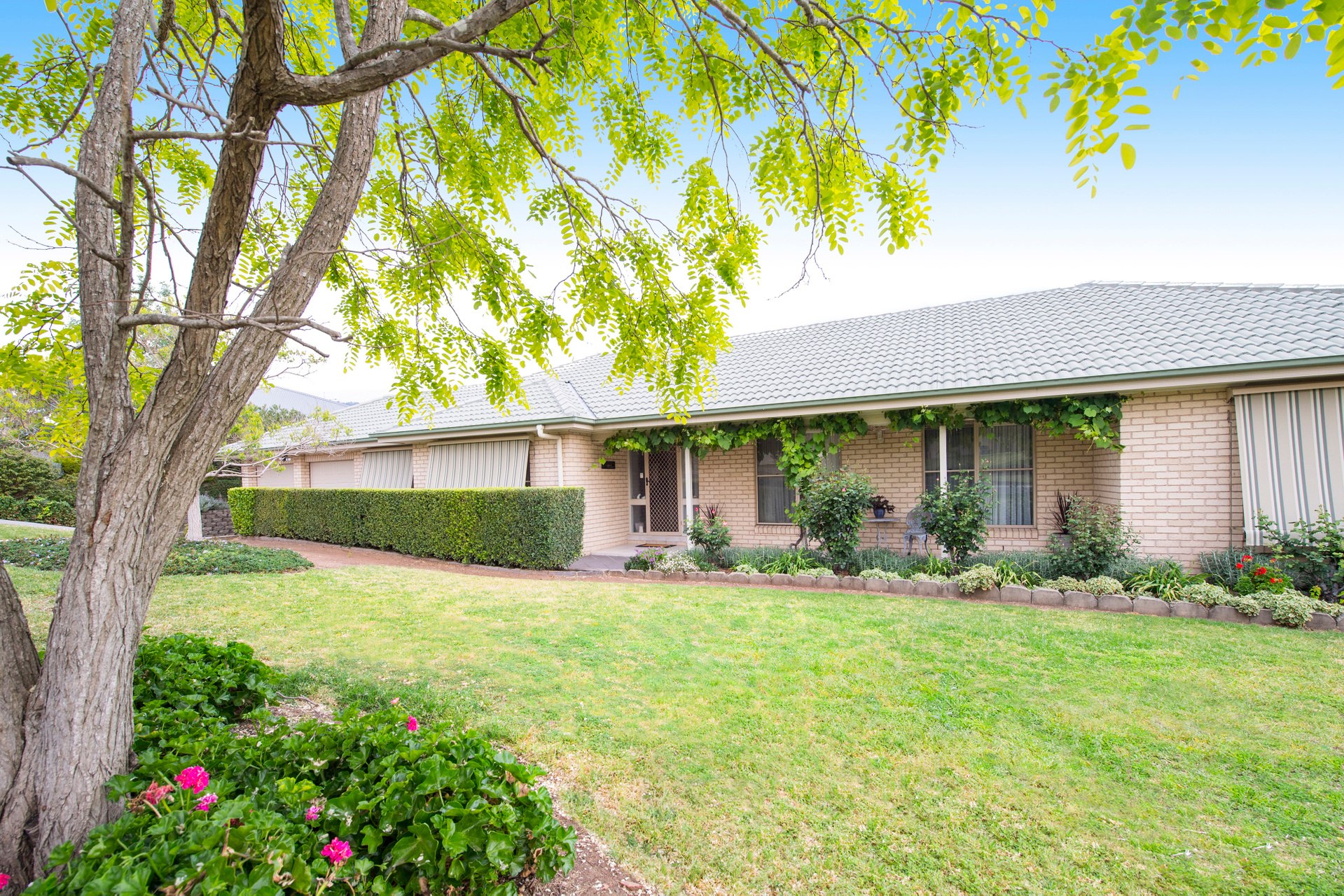 House Sold 6 Redbank Drive, Scone